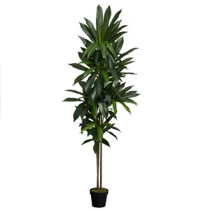 72" Artificial Dracaena Silk Plant (Real Touch) - Low Maintenance, Life-Like & Vibrant Silk Plants For Busy People.