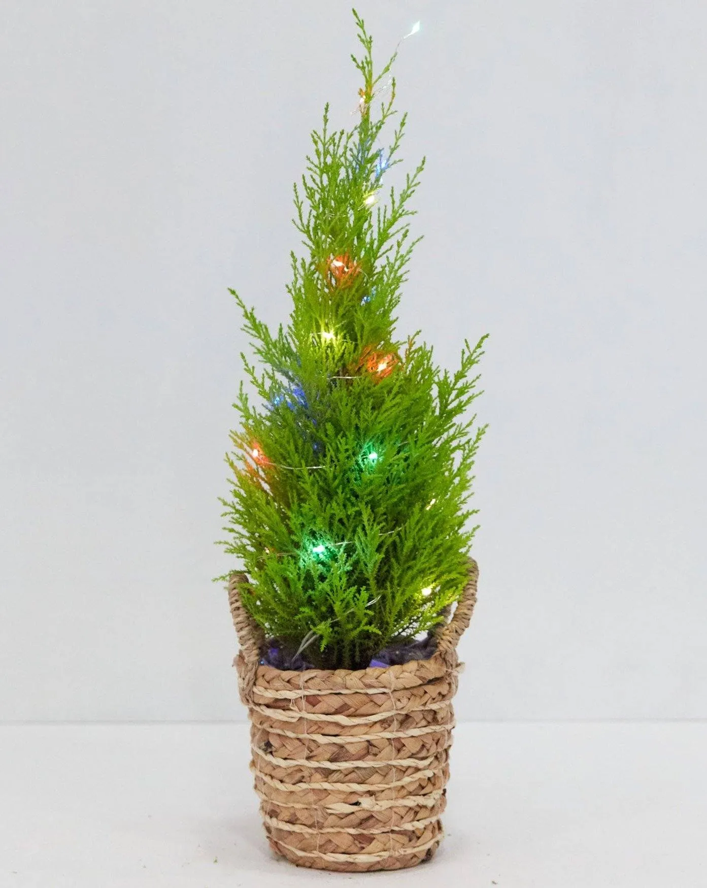 Holiday Lights For Plants (Battery Included)