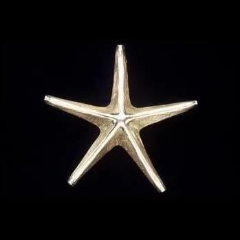 Starfish Door Knocker